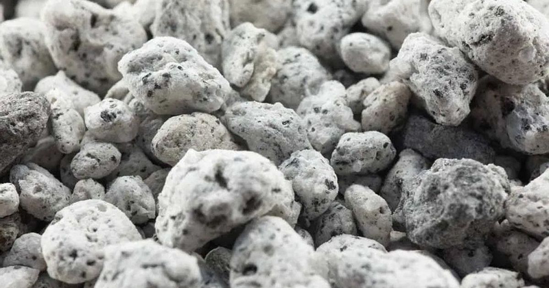Công nghệ 10, Một số loại giá thể