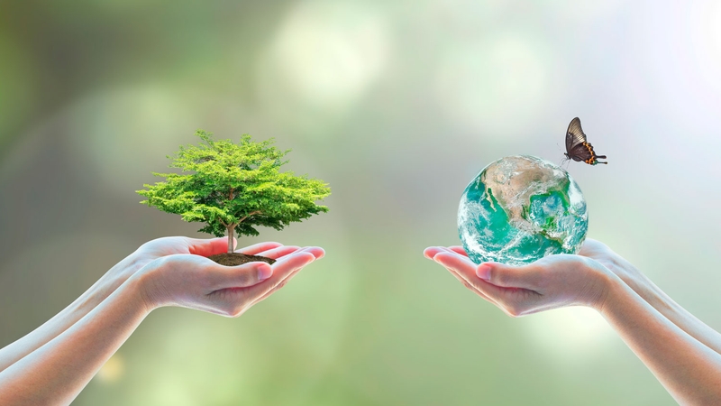 Đa dạng sinh học là gì 5