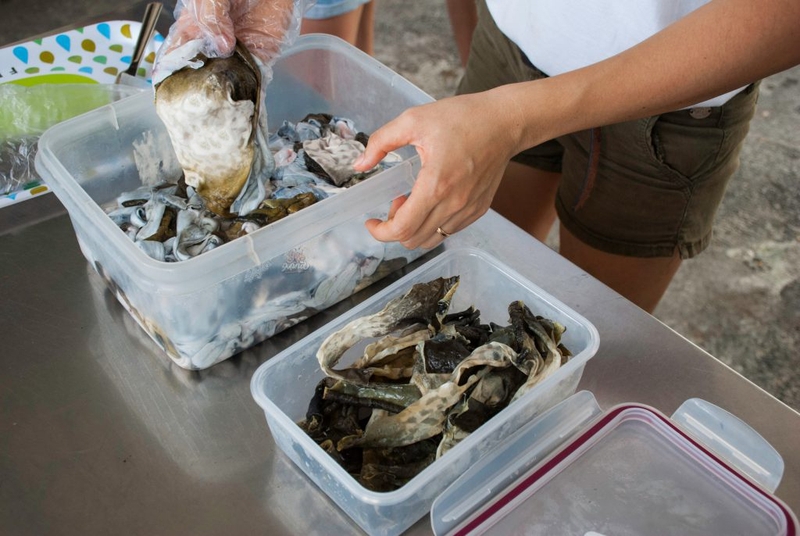 da ếch chiên giòn 3