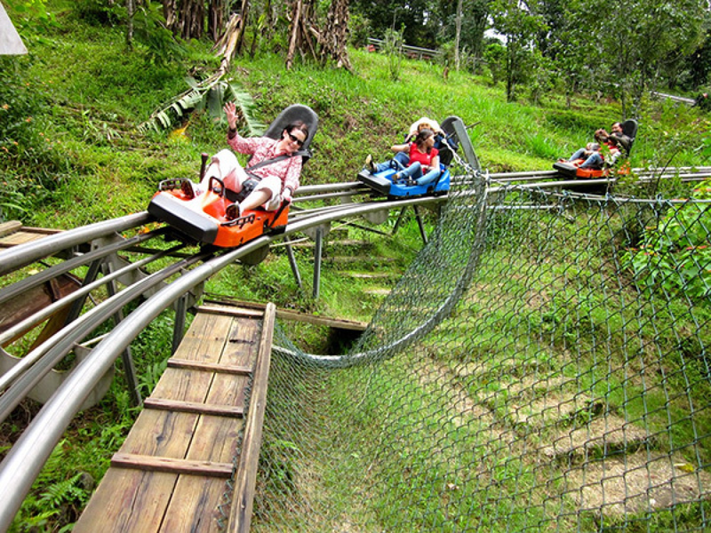 Đà Lạt có gì chơi 2