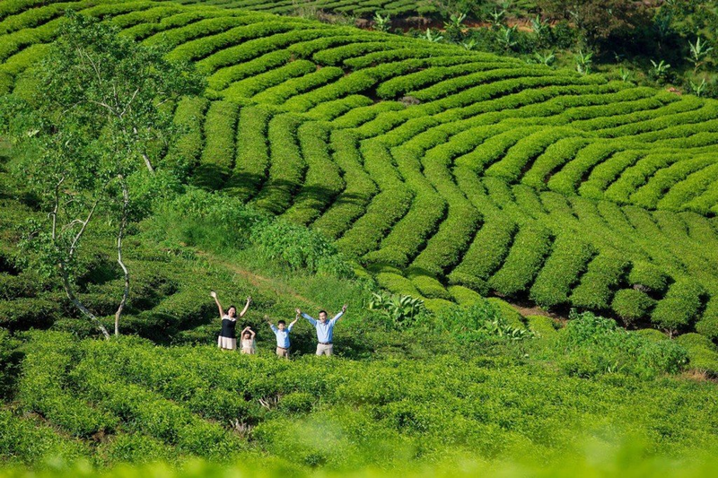 Đà Lạt có gì chơi 8