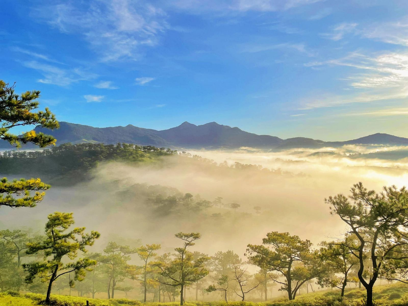 Đà Lạt mùa nào đẹp nhất 1