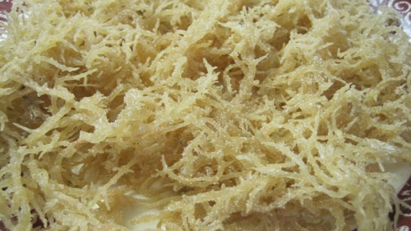 Đặc sản Lý Sơn 16