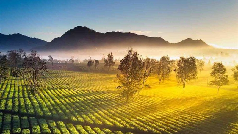 đặc sản Tây Nguyên 1