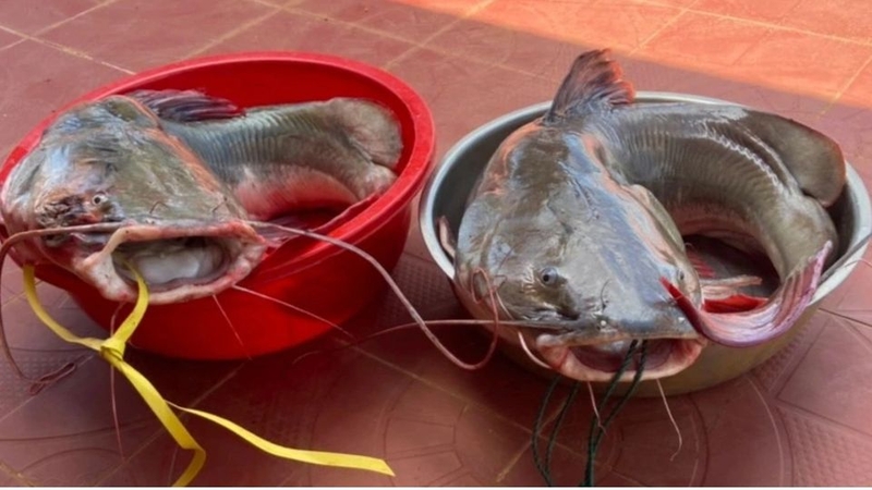 đặc sản Tây Nguyên 7