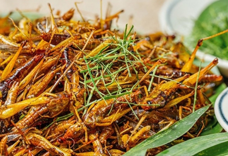 đặc sản Yên Bái (ảnh 7)