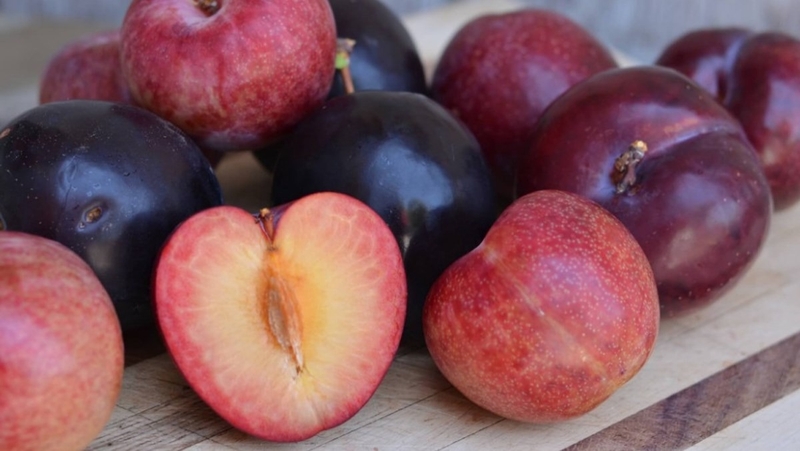 đặc sản Yên Bái (ảnh 8)