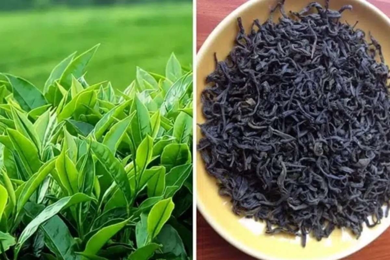 đặc sản Bắc Giang 10