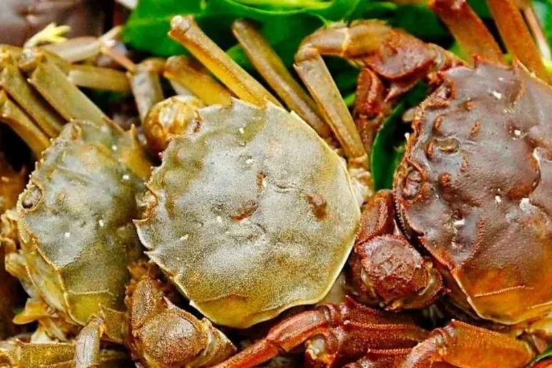 đặc sản Bắc Giang 13