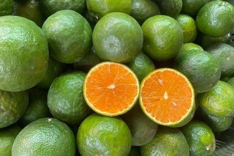 đặc sản Bắc Giang 3