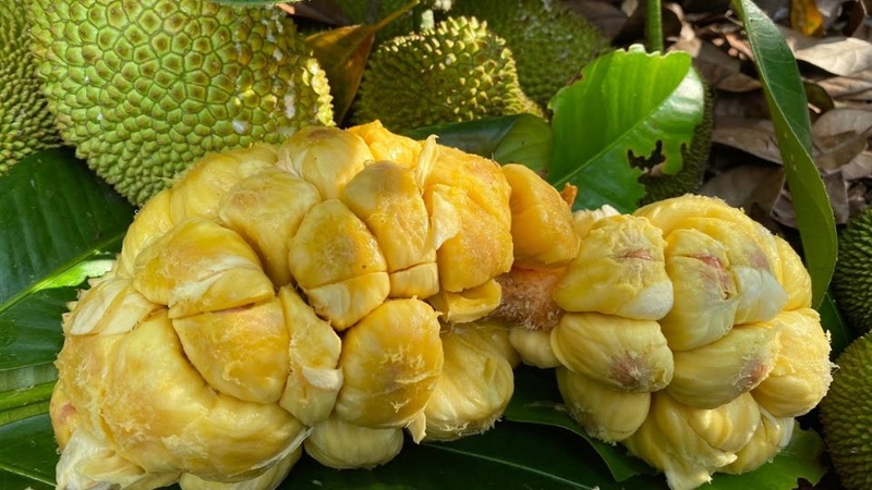 đặc sản Biên Hòa 9