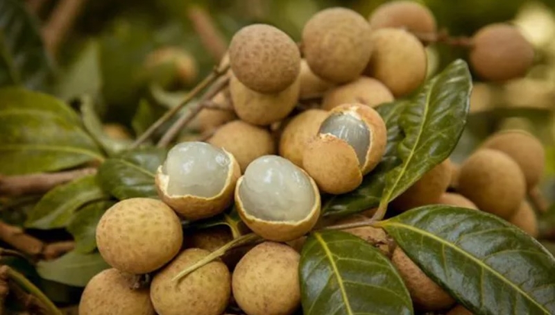 đặc sản Bình Phước (ảnh 13)