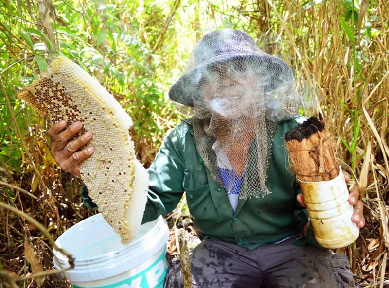 đặc sản cà mau 9