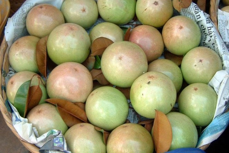 Đặc sản Cần Thơ - 04