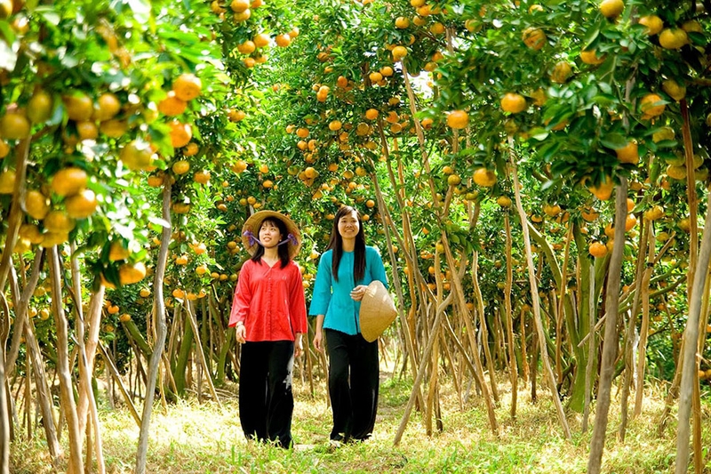 Đặc sản Cần Thơ - 01