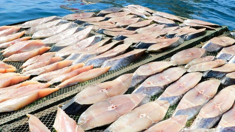 Cá thu một nắng