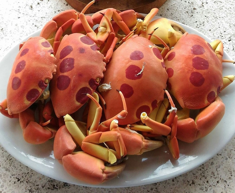 đặc sản Côn Đảo 4