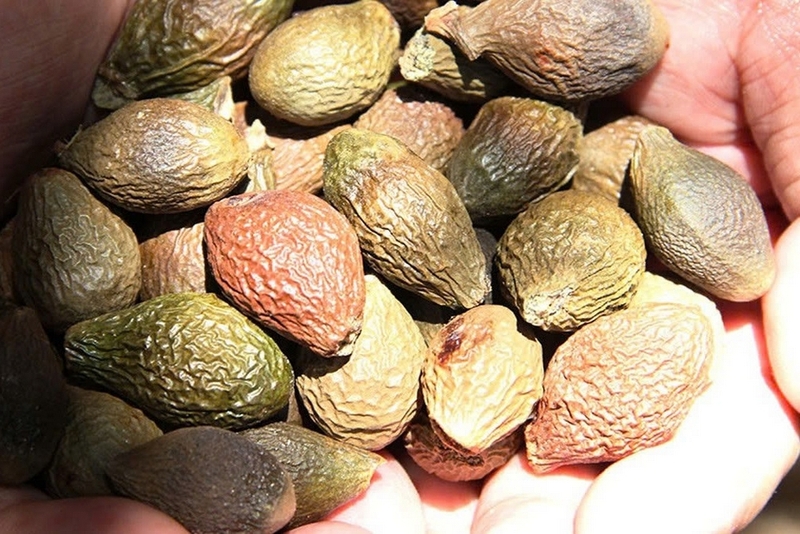 Đặc sản Đồng Nai ảnh 5