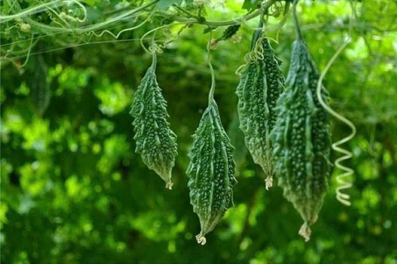 Đặc sản Đồng Nai ảnh 8