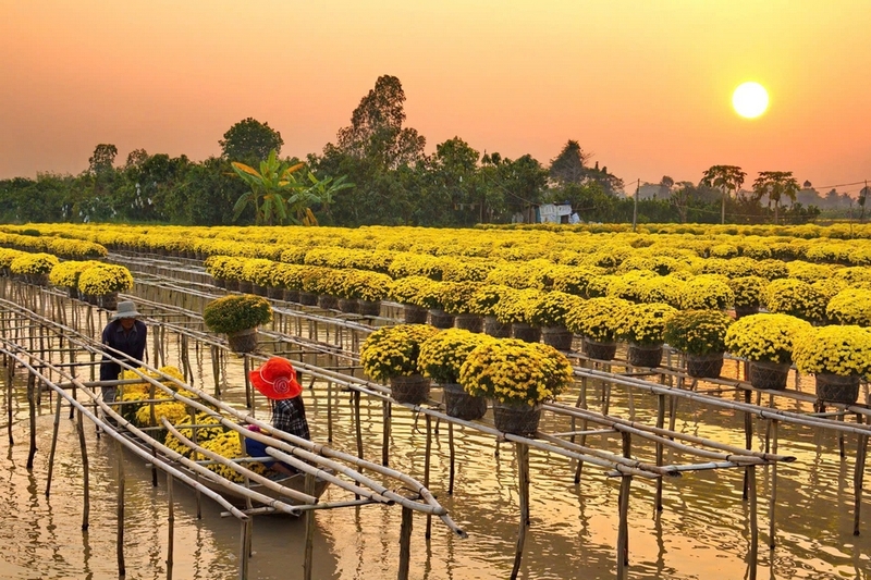 đặc sản Đồng Tháp ảnh 1