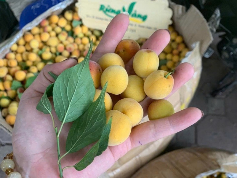 đặc sản Hà Giang ảnh 7