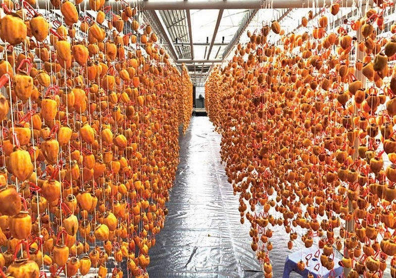 đặc sản hàn quốc ảnh 5