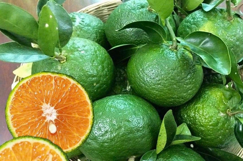 Đặc sản Hậu Giang ảnh 8