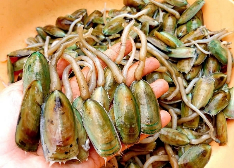 đặc sản Kiên Giang ảnh 8