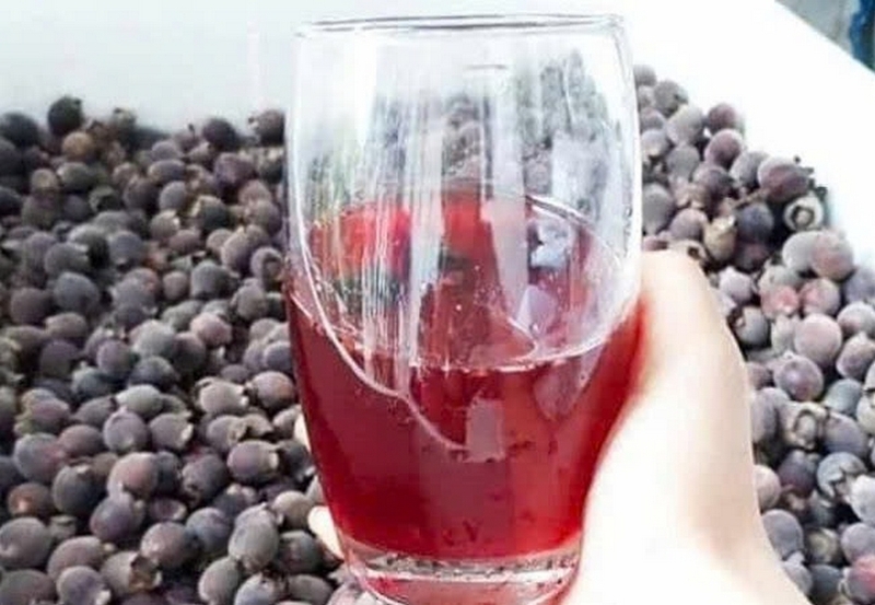đặc sản Kiên Giang ảnh 9