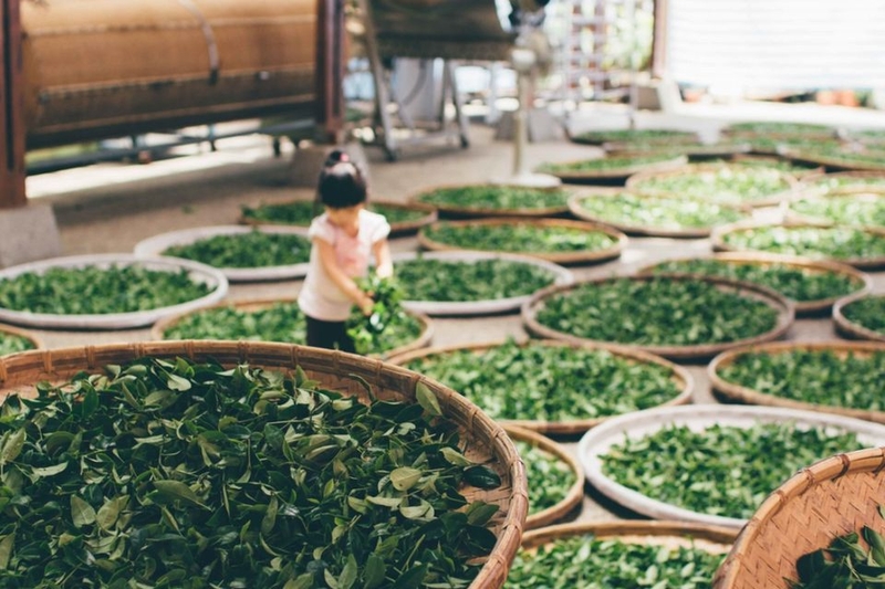 Quy trình sản xuất và chế biến