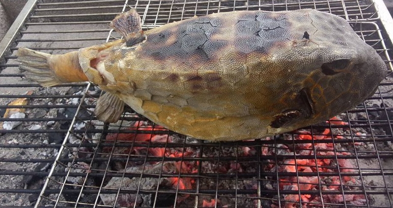 Cá bò hòm nướng dai, ngọt