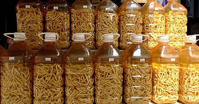 Rượu sâu chít