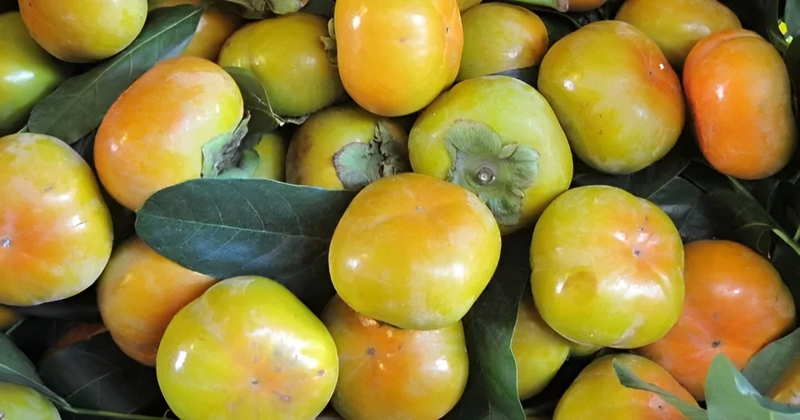 đặc sản Lâm Đồng 1
