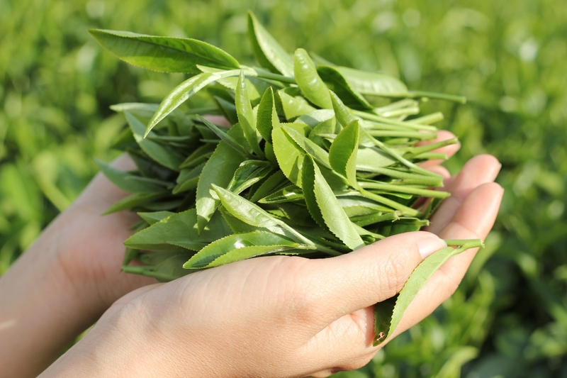 đặc sản Lâm Đồng 5