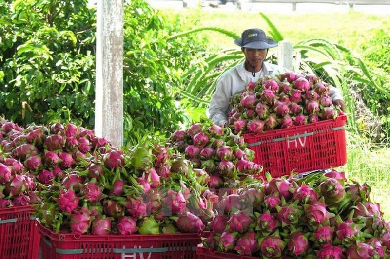 đặc sản Long An ảnh 5