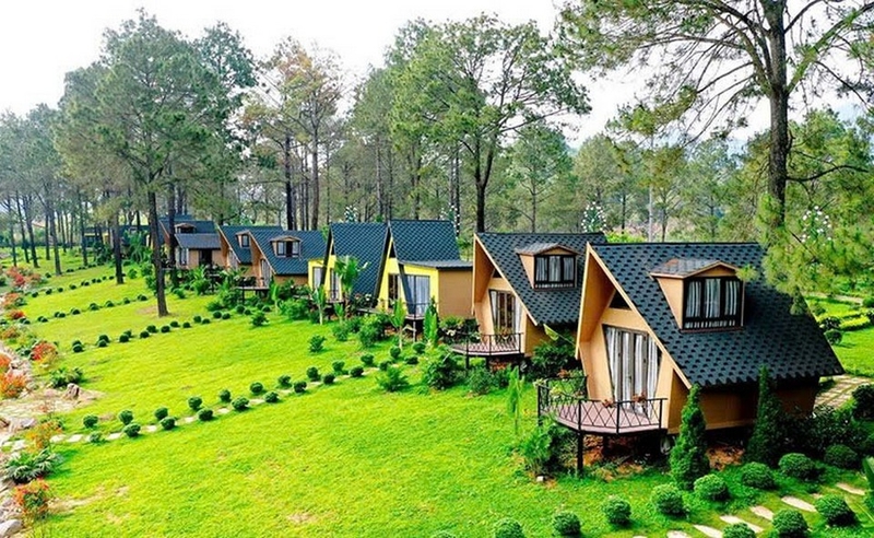 đặc sản mộc châu ảnh 1