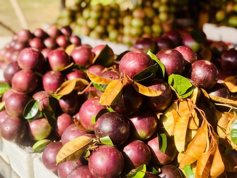 đặc sản sóc trăng ảnh 8