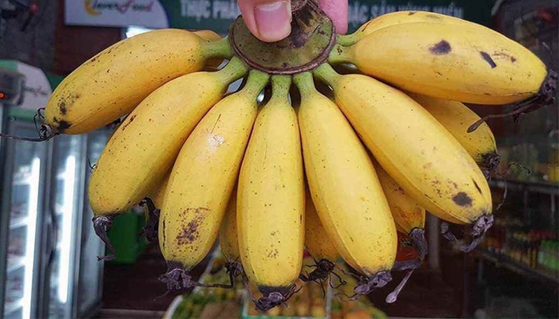 đặc sản sơn la 19