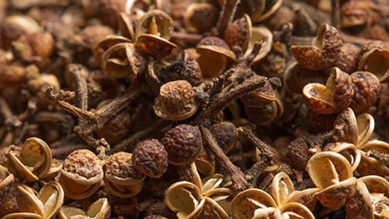 đặc sản sơn la 22