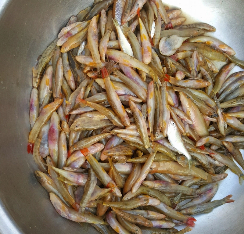 đặc sản sơn la 23