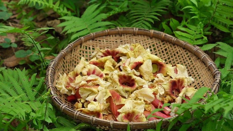 Đặc sản Tuyên Quang (ảnh 6)
