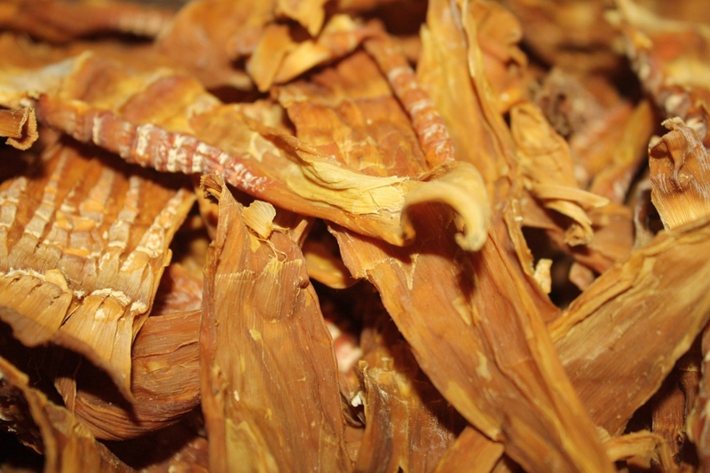Đặc sản Tuyên Quang (ảnh 11)