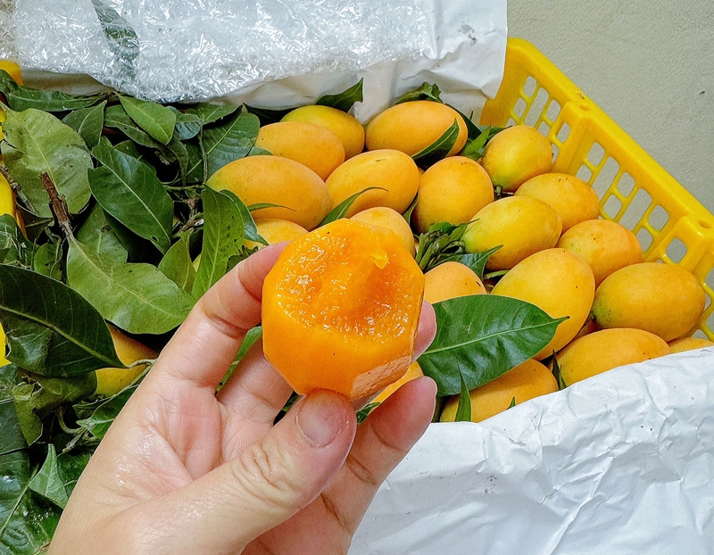 đặc sản Vĩnh Long (ảnh 8)