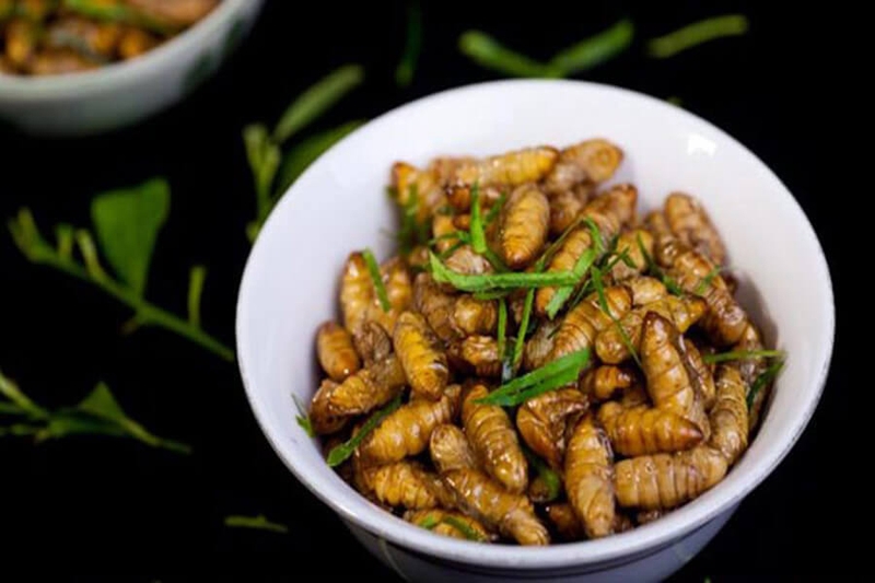 đặc sản Yên Bái (ảnh 17)