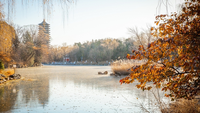 Hồ Vị (Weiming Lake)
