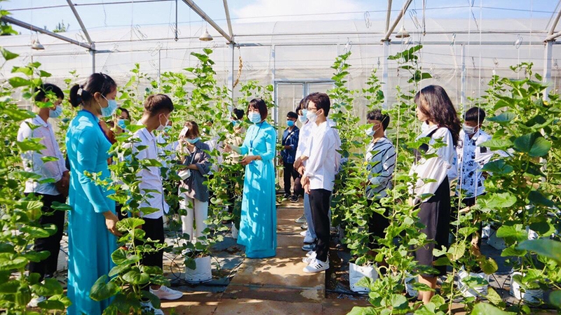 Đề án tuyển sinh Đại học Lâm nghiệp 2025 - 06