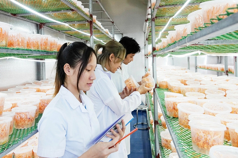 Đề án tuyển sinh Đại học Lâm nghiệp Gia Lai 2025 - 05