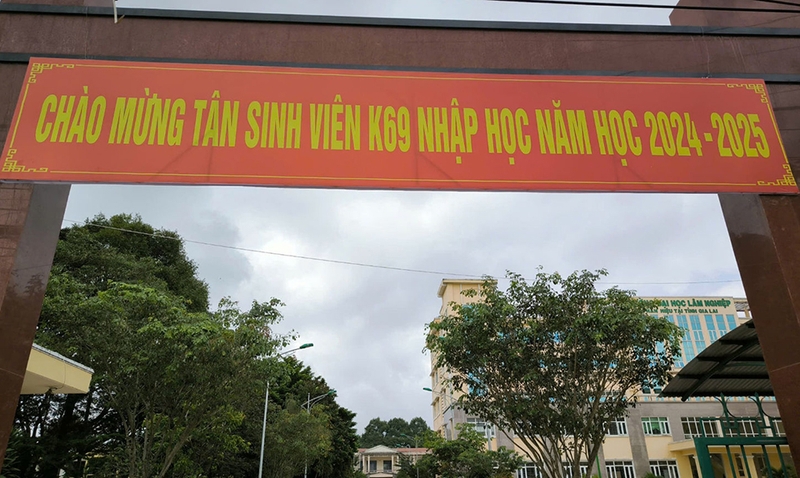 Đề án tuyển sinh Đại học Lâm nghiệp Gia Lai 2025 - 04