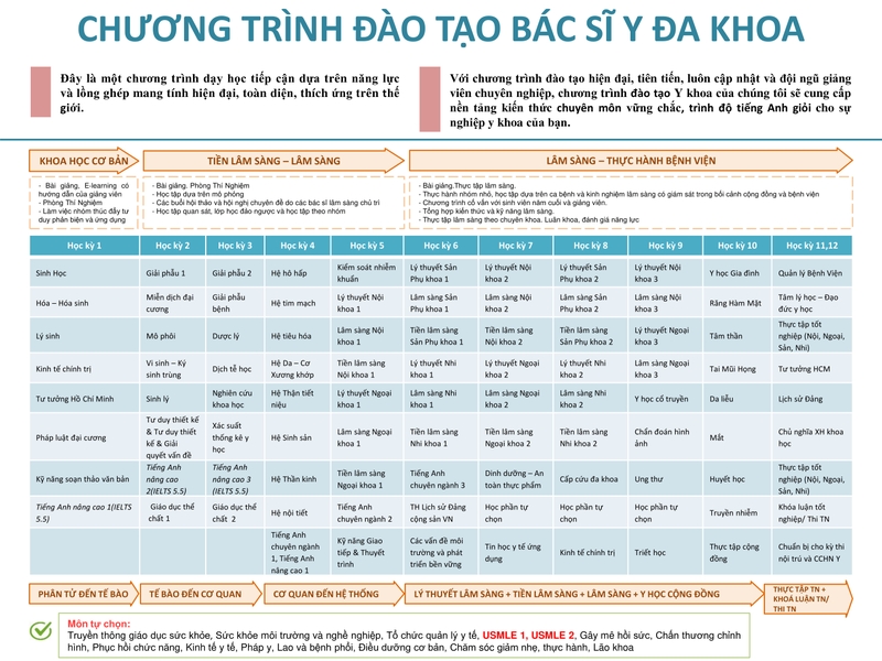 đại học và cao đẳng khác nhau như thế nào 10.jpg