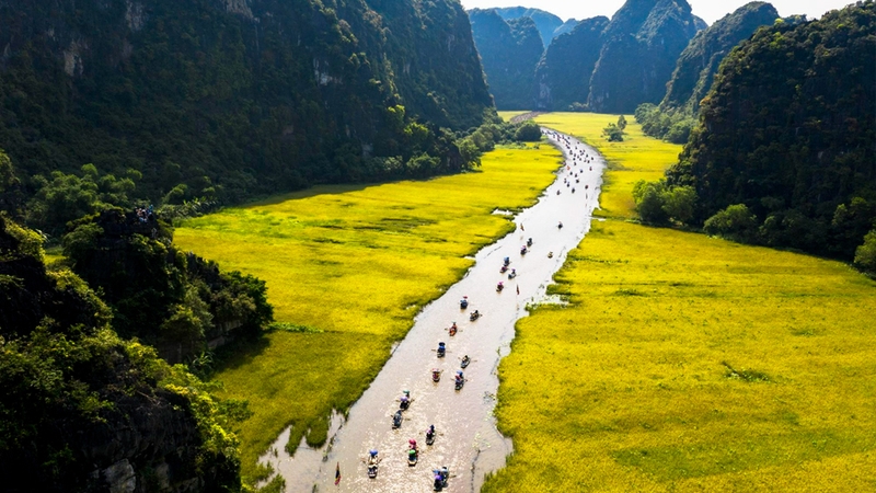 Đầm Vân Long mùa lúa chín